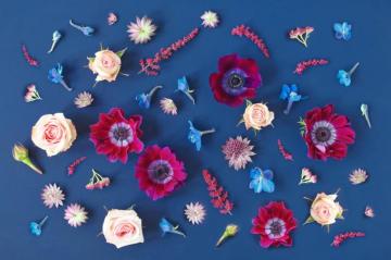 Digital Blooms January Desktop Wallpaper Justinecelina