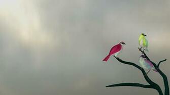 Pink Green And Purple Sparrow Birds Wallpaper HD Rocks
