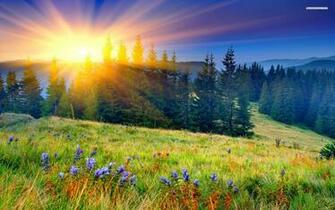 Landscape HD Wallpaper