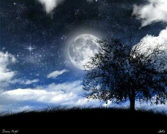 HD Wallpaper Pics Starry Night