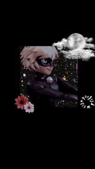 Cat Noir Wallpaper
