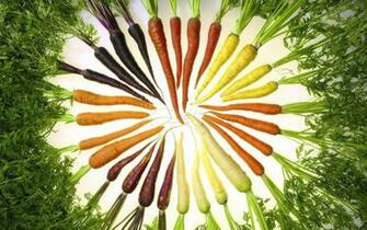 Great Desktop Fruit And Vegetable Background Dowload