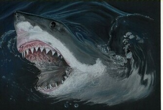 White Shark Mouth Wallpaper