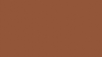 Vans Waffle Sole Desktop Wallpaper