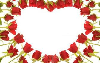 Wallpaper Rose Red Flower Gift