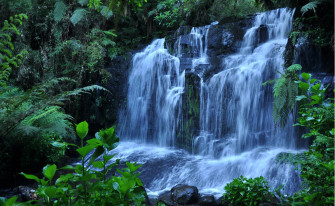 Wallpaper Spring Nature Scenes