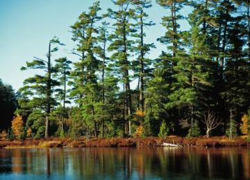 Sylvania Wilderness Wikipedia
