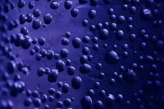 Bubble Wallpaper Pictures Image