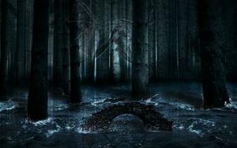 Dark Forest Moon Wallpaper Image On 1080p HD Art In