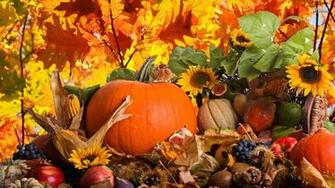 Autumn Background Desktop Net