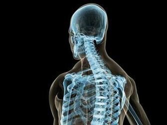 Upper Cervical Care In Birmingham Michigan