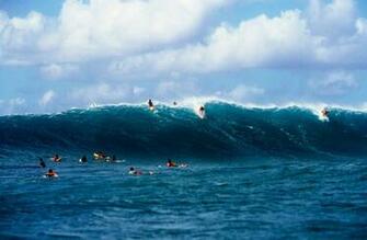 Beach Oahu Wall Art Style Wallpaper By Murals Your Way