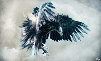 iPad Eagle Wallpaper Background
