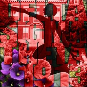 Delta Sigma Theta Crimson And Cream Red White Delights Pinter