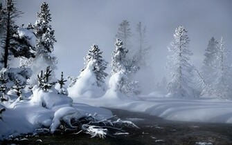 Winter Landscapes Cute Wallpaper