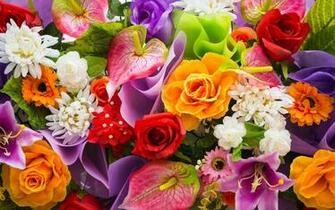 Colorful Flowers Wallpaper HD Image Ololoshenka Bunch Of