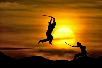 Cool Martial Arts HD Wallpaper Photoss
