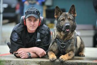 Image K9 Dogs Pc Android iPhone And iPad Wallpaper