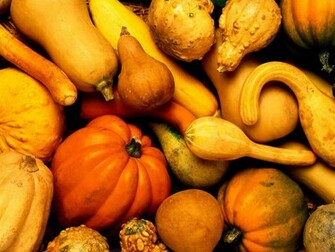 Fall Wallpaper Pumpkin Harvest