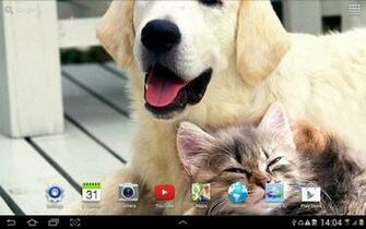 Cat Live Wallpaper