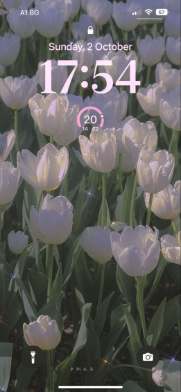 Ios Wallpaper Lockscreen Tulips