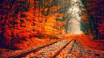 Country Fall Background I Love Everything About