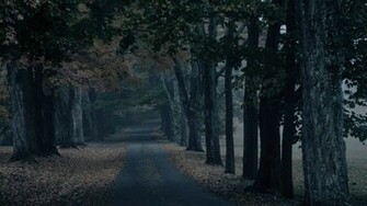 Creepy Forest Wallpaper
