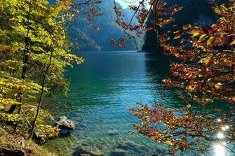 Image Germany Konigsee Nature Autumn Lake Stone Branches