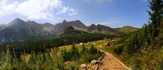 Green Leafed Trees Mountains Poland Tatra HD