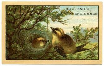 Cute Vintage Bird Wallpaper Image Pictures Becuo