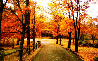 Beautiful Autumn Desktop Wallpaper