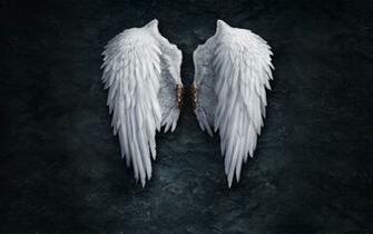 Wallpaper Angel Wings Image