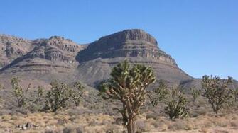 Desierto De Arizona HD Wallpaper