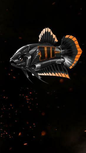 Black Ops Betta Wallpaper Fish