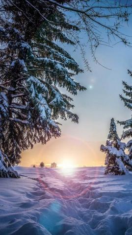 Winter Background Wallpaper