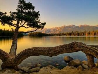 Wallpaper Lake Jasper Alberta Canada Photos And Walls