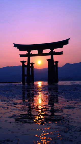 Japanese Aesthetic iPhone Wallpaper