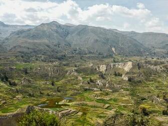 Trekking The Colca Canyon Peru Treksnappy