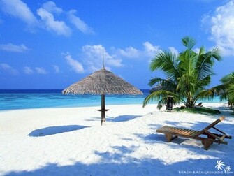 Wallpaper Tropical Beach