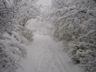Wallpaper Snow In HD