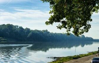 Wallpaper Nature Tree Road Morning