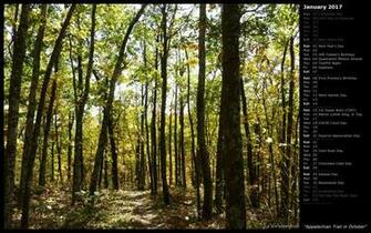 Appalachian Trail In October