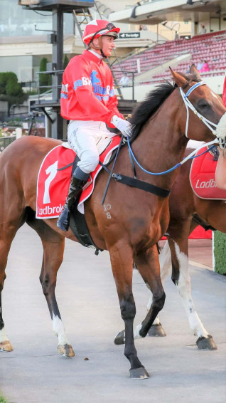 Jamie Kah Professional Jockey In Action On The Racetrack Wallpaper