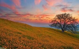 HD Landscapes Wallpaper Landscape