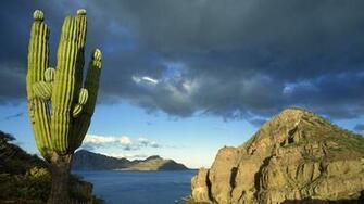 Danzante Island Sea Of Cortez Baja California Mexico HD