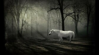 Unicorn HD Background Wallpaper And Make This For Your