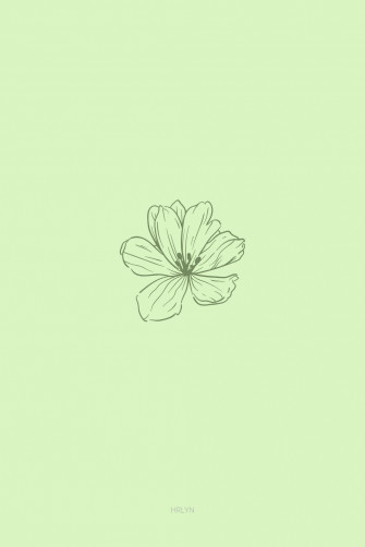 Wallpaper Flower Green Minimalist Mint iPhone