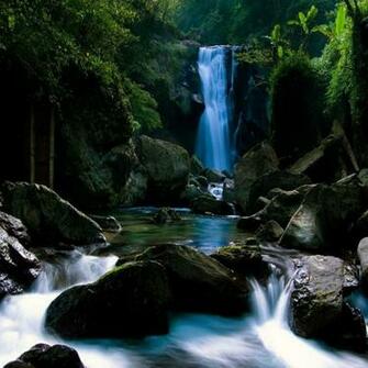 Tropical Waterfall Wallpaper