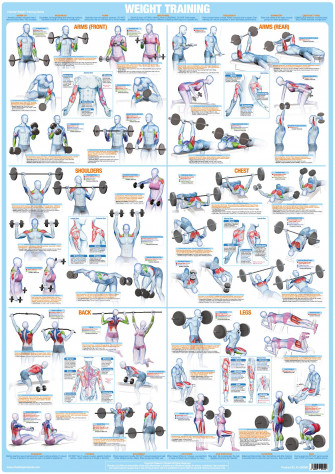 Bodybuiolding Weight Training Poster Wallpaper