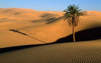 Wallpaper Desert